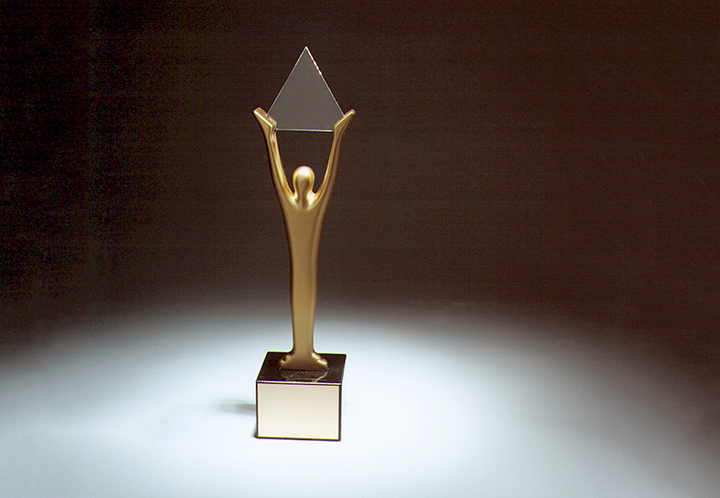 stevieaward09-720x498-NEU